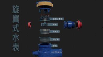 国产水表之王是谁啊视频,揭秘行业领军品牌